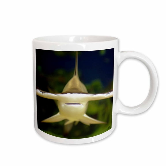 3drose, Scalloped Hammerhead Shark, Sphyrna Lewini Viviparous, 15oz Mug