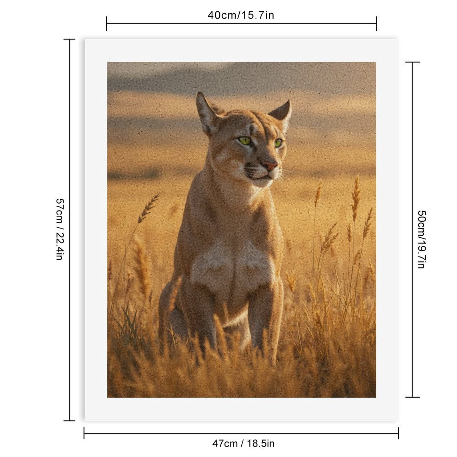 Paint by Numbers Kit for Adults, Golden Cougar In Wheat Field Paint by Numbers, Easy Paint by Numbers Kit for Adults Beginner, DIY Adult Paint by Number Kits on Canvas, Home Decor
