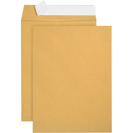 100 6 x 9 SELF Seal Golden Brown Kraft Catalog Envelopes - Oversize 6x9 ...