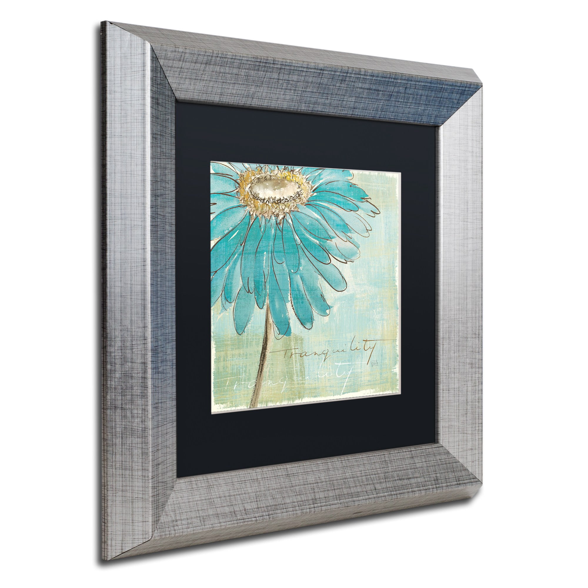 Trademark Fine Art "Spa Daisies III" Canvas Art by Chris Paschke Black Matte, Silver Frame