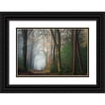 thumbnail image 1 of Borggreve, Ellen 24x17 Black Ornate Wood Framed with Double Matting Museum Art Print Titled - Once Upon A Dream, 1 of 4