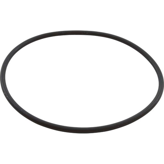 Speck Pumps 2921641223 165 x 6MM Casing O-Ring