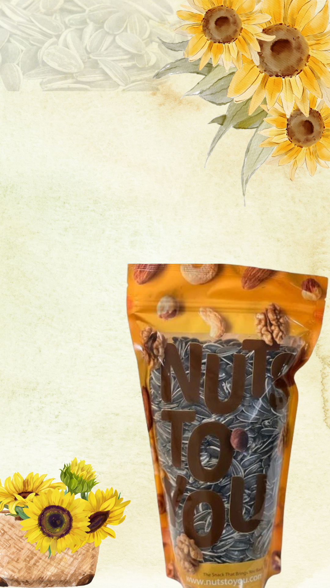 4LB Raw Whole Sunflower Seed in Shell by Nuts to You | Essential Vitamins & Minerals | Healthy Superfood Snack