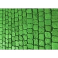 thumbnail image 1 of Ahgly Company Machine Washable Indoor Rectangle Transitional Green Area Rugs, 5' x 8', 1 of 7