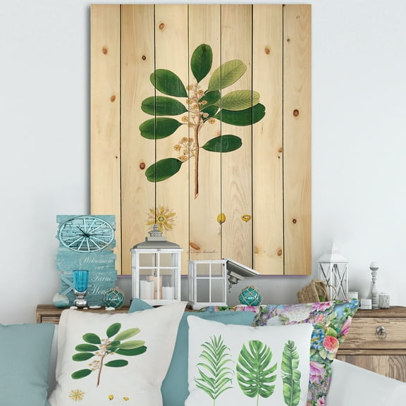 Designart 'Ancient London Plants IX' Farmhouse Print on Natural Pine Wood