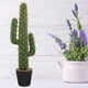 thumbnail image 2 of GOOHOCHY Cactus artificiales grandes, cactus falsos, plantas de cactus artificiales para la habitación y la oficina., 2 of 8