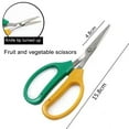 thumbnail image 3 of Garden Trimming Scissors | Stainless Steel Bent Blade Pruning Shears | Soft Grip Handle | Precision Gardening Tool for Grape, Fruit Tree, Flower, Indoor & Outdoor Use | 15.6x7.5cm | 1 Pack, 3 of 9