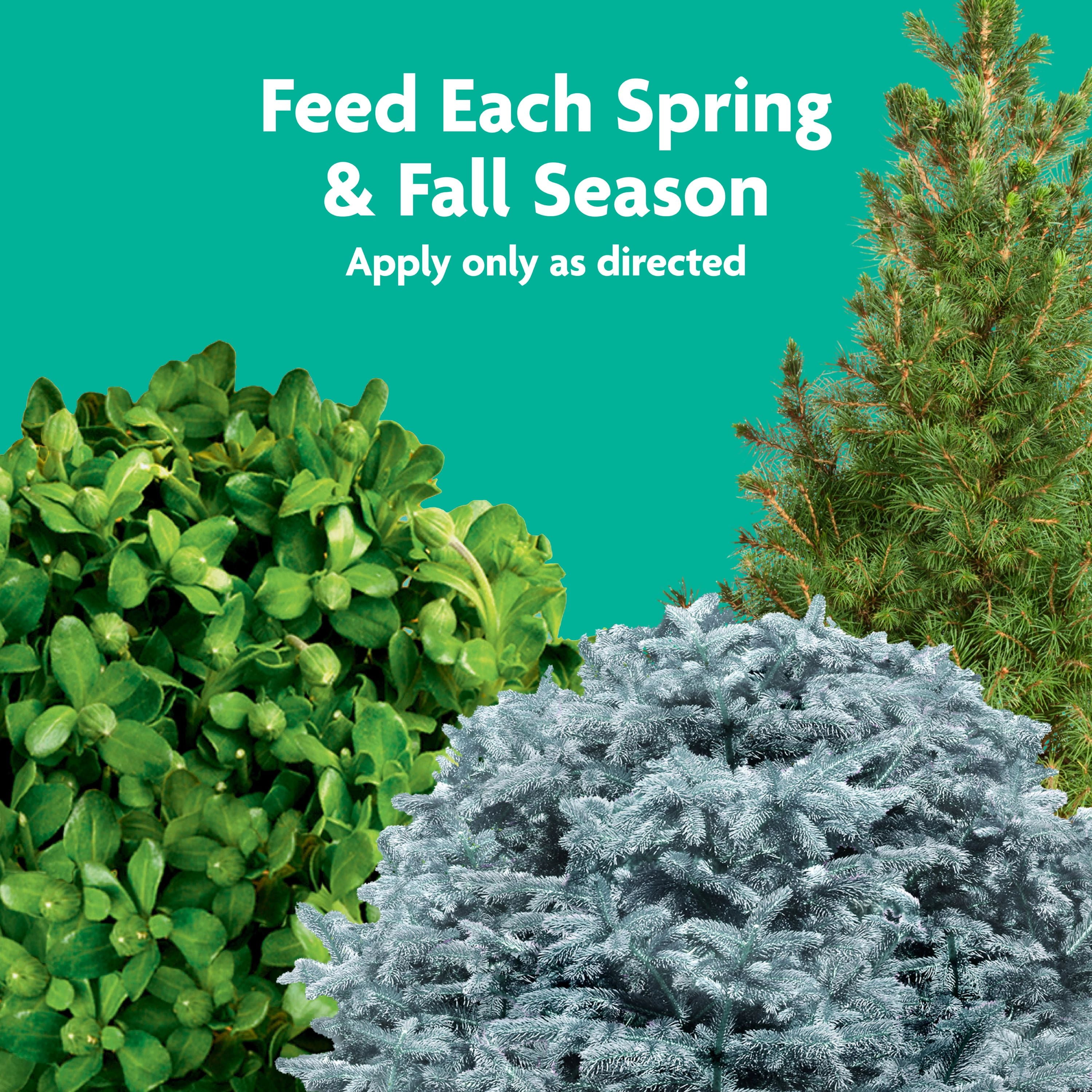 Miracle-Gro Tree and Shrub Plant Food Spikes, Also For Acid-Loving Plants, 12 Spikes