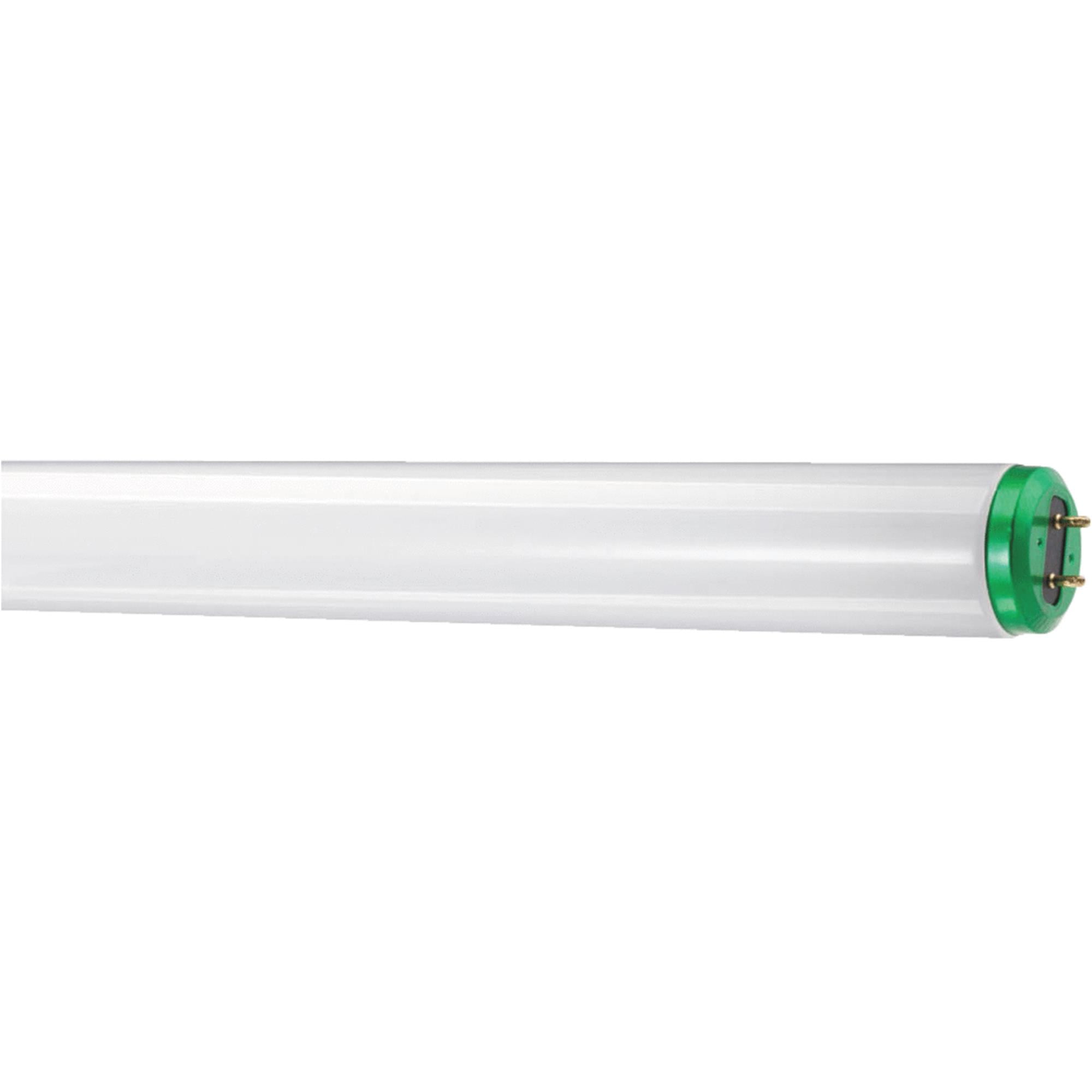 Philips ALTO T12 Medium BiPin Fluorescent Tube Light Bulb