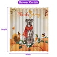 thumbnail image 5 of Happy Thanksgiving Great Dane with Turkey Pumpkins Autumn Vibes Shower Curtain Danes Dog Lover Gifts Waterproof Bathroom Bathtub Curtain - 12018, 5 of 5