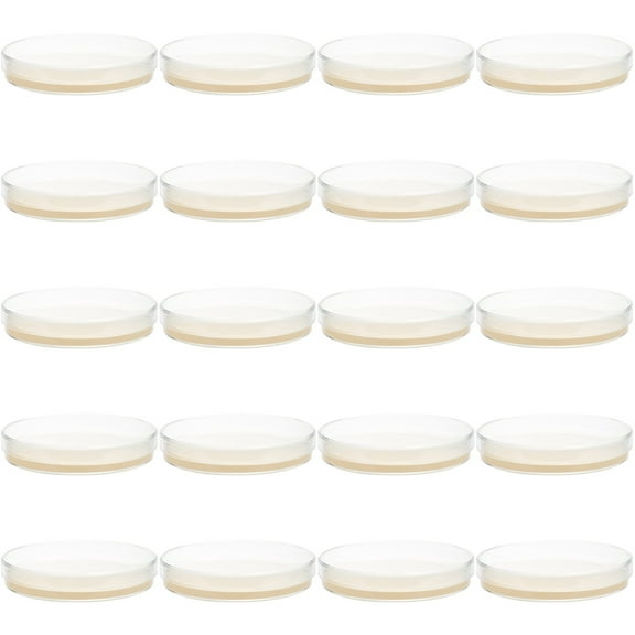 FELTECHELECTR  20 Pcs Agar Plates Cell Culture Dish Nutrient for Laboratory Baby Child