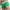 Green, variant on Lycaql Swim Briefs for Men Men's Short Drawstring Swim Shorts With Zippered Back Pockets(Dark Blue,L)