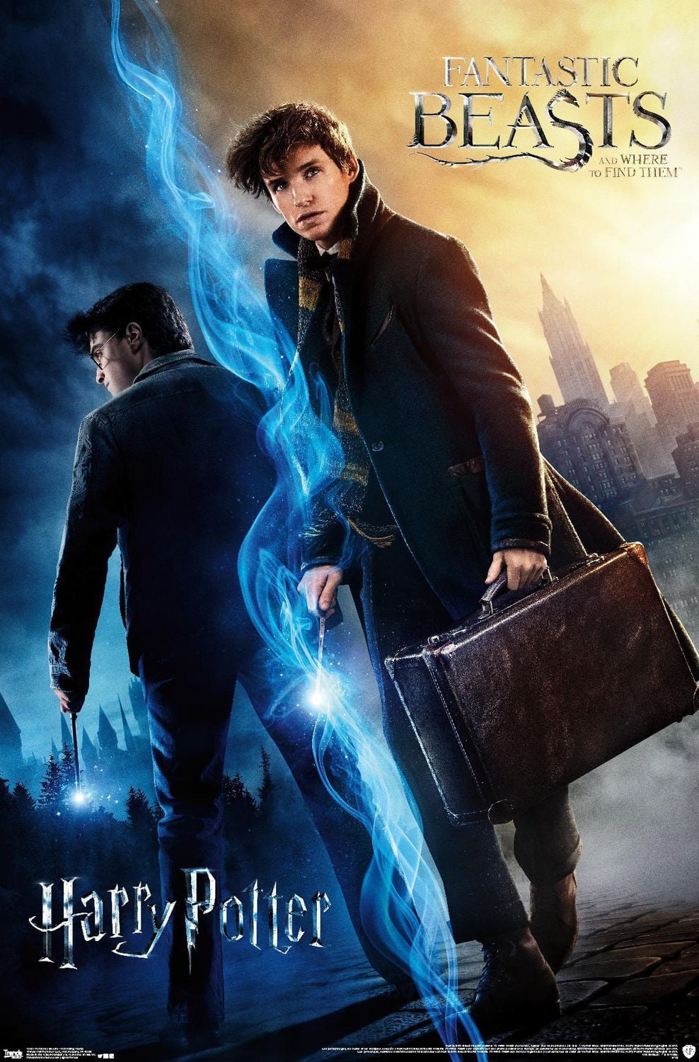 The Wizarding World: Harry Potter and Fantastic Beasts Wall Poster, 22.375" x 34"