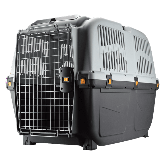 Transportadora Skudo Iata 6 MPS 6