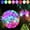 Multicolor-Hook, variant on PETGLE 100pcs Orange Mini Lights with Hook,Long Standby Time Waterproof LED Balloon Light,Battery Powered,Ball Lamp for Balloon Paper Lantern Birthday Party Christmas Halloween (Matching Tag Rope)