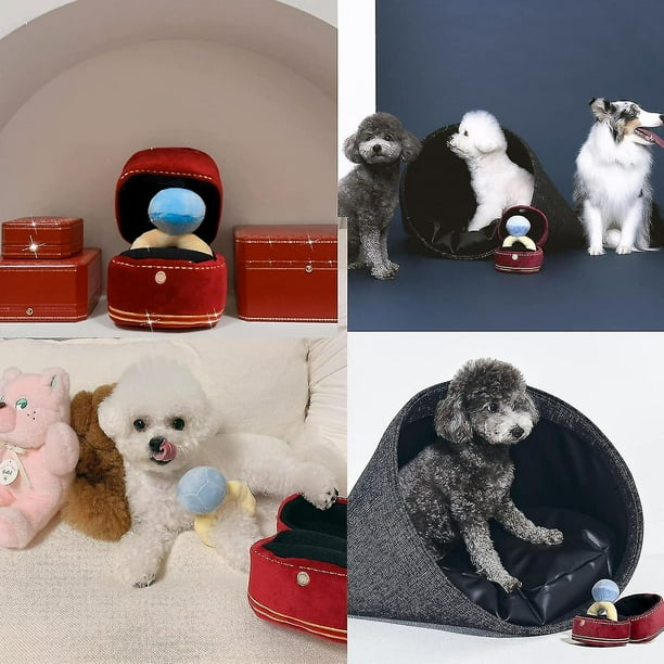 Squeak Plush Toy Interested Diamond Ring Case, Stuffed Pet Chew - Main Image