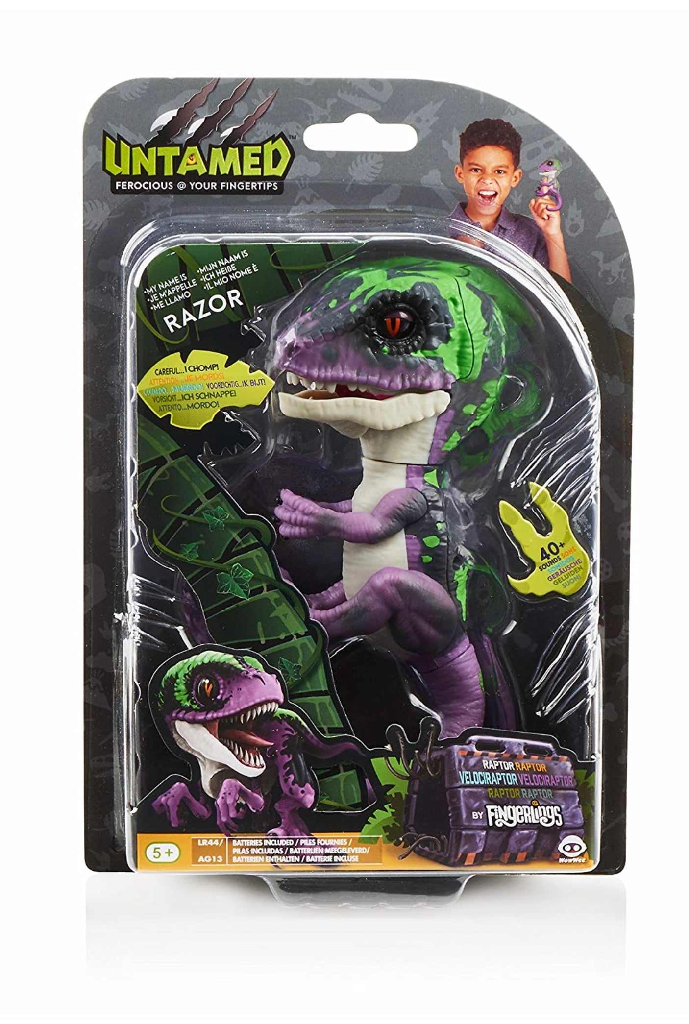 untamed raptors names