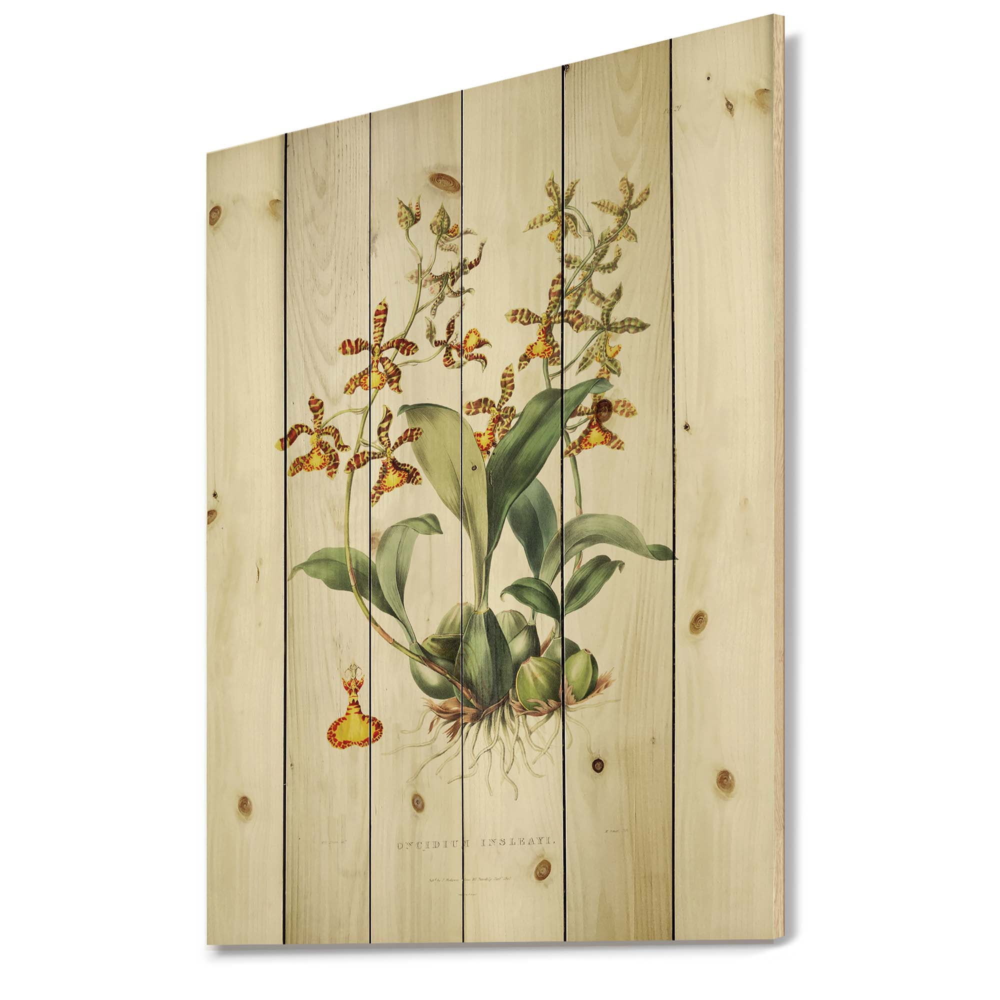 Designart 'Ancient Flower I' Traditional Print on Natural Pine Wood