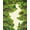 Green, Pattern 5, variant on Flatwoven High Traffic Area Rug, Playful Retro Forest Map Design, Non Slip, Stain Resistant, Washable Area Rugs for Living Room, Bedroom(Green, 4X6)