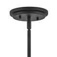 thumbnail image 3 of 1 Light Small Pendant In Transitional Style 7.75 Inches Wide By 8.25 Inches High-Black Finish-Clear Shade Color Hinkley Lighting 3697Bk-Cl, 3 of 7