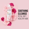 thumbnail image 3 of Pantene Pro-V Moisture Shampoo, Blends Rose Water, Sulfate-Free, 17.9 Oz, 3 of 7