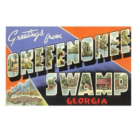 Greetings from Okefenokee Swamp, Georgia Print Wall (Mtg Best Swamp Art)
