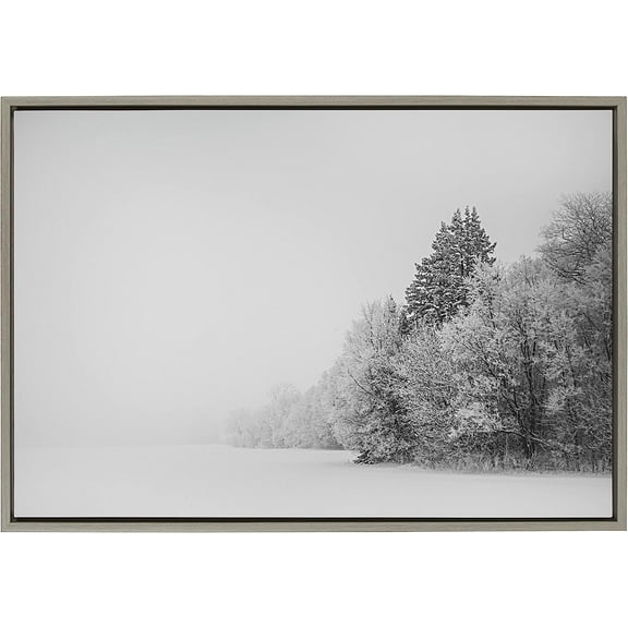 Kate and Laurel x F2Images Collaboration Black and White Snow Day Framed Canvas Wall Art, 23x33 Gray, Snowy Winter Landscape Art Print for Wall