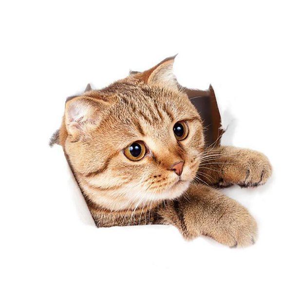 Wdftyju Calcomanías removibles autoadhesivas impermeables de la etiqueta engomada de la pared del PVC del animal del gato 3D (A Wdftyju 2mc4du2ep0mj7ud9D01