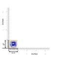 thumbnail image 4 of ANGARA Natural Claw-Set Cushion 2.15 ct Tanzanite Beaded Halo Necklace in 14K Yellow Gold for Women (Size-8mm) | December Birthstone, Anniversary, Jewelry Gift for Women | Natural Tanzanite Necklace, 4 of 9