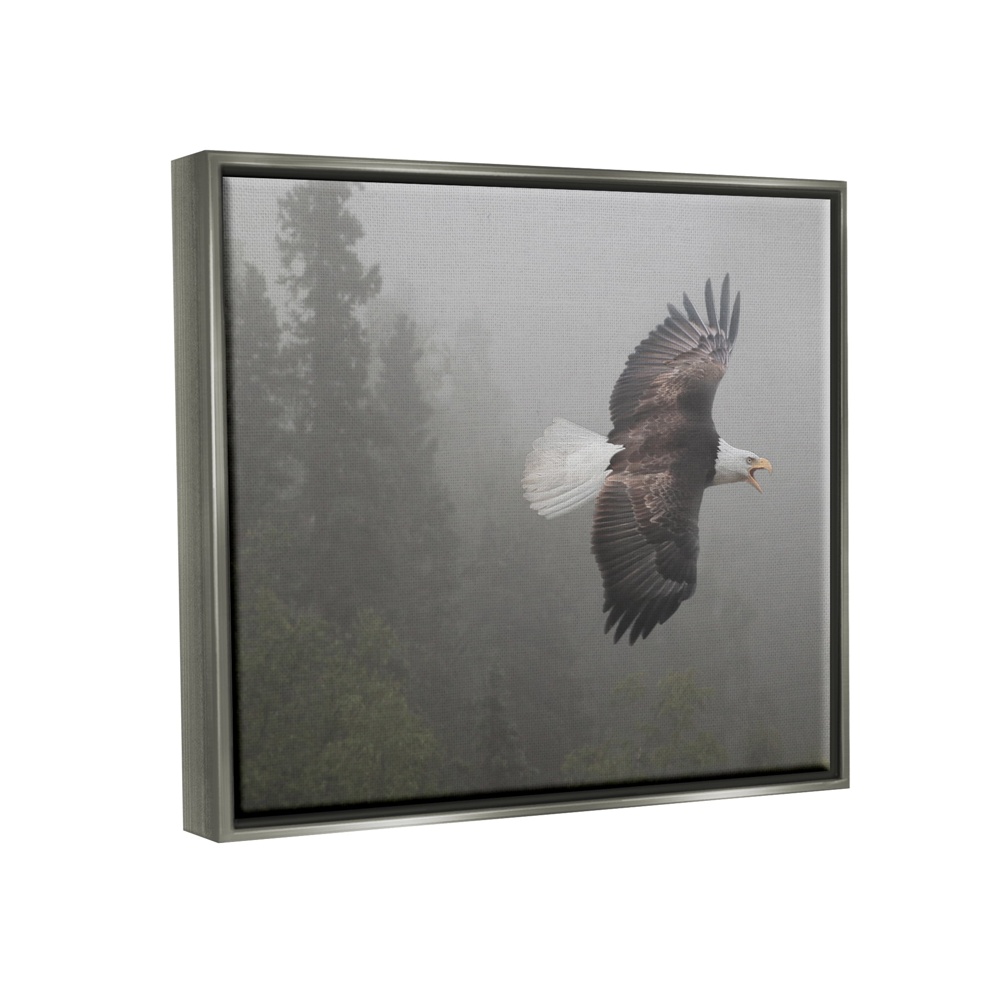 Stupell Industries Soaring Eagle in Nature Animals & Insects Photography Gray Floater Framed Art Print Wall Art, 31 x 25