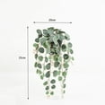 thumbnail image 2 of Plante de verdure de Lerman Decor, 2 of 4