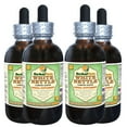 thumbnail image 1 of White Nettle (Lamium Album) Glycerite, Dried Leaves Alcohol-FREE Liquid Extract (Herbal Terra, USA) 4x4 oz, 1 of 2