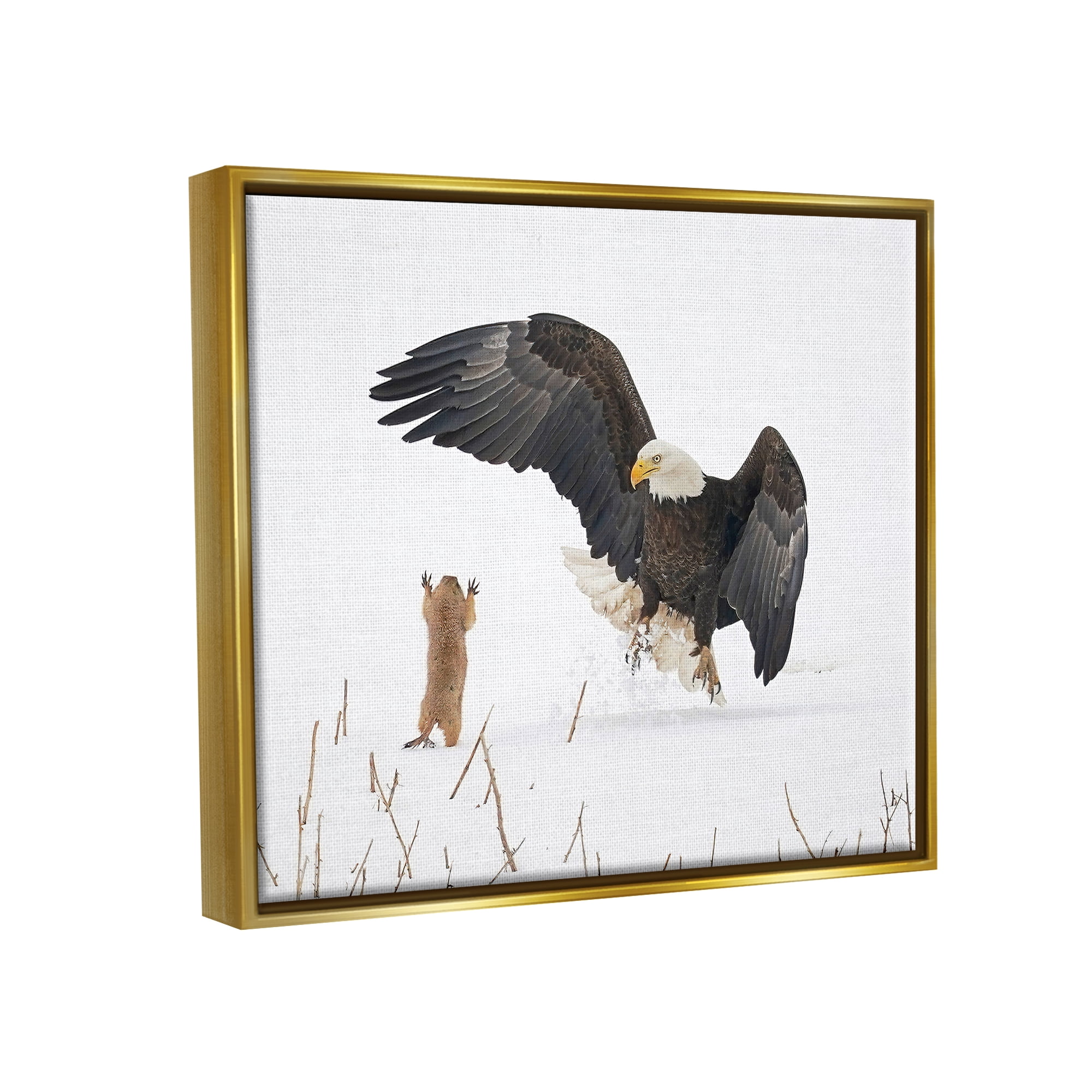 Stupell Industries Prairie Dog & Eagle Animals & Insects Photography Gold Floater Framed Canvas Art Print Wall Art, 21 x 17