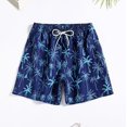 thumbnail image 2 of Aayomet Mens Swimming Trunks With Compression Liner Triangle Mesh Quick Dried Outdoor Summer Beach Pants (Blue, S), 2 of 5