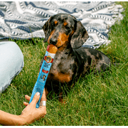Brutus Brothcicles - All Natural Turkey Flavored - Frozen Dog Superfood Treats for Hydration and Snacking