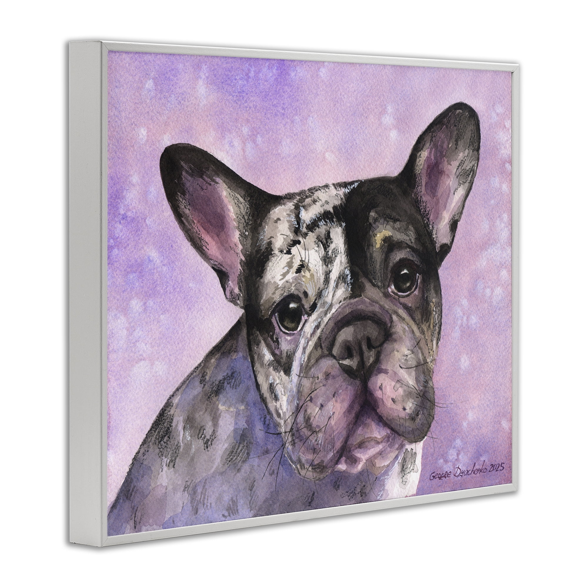 Stupell Industries Harlequin French Bulldog White Framed Giclee Art, design by George Dyachenko