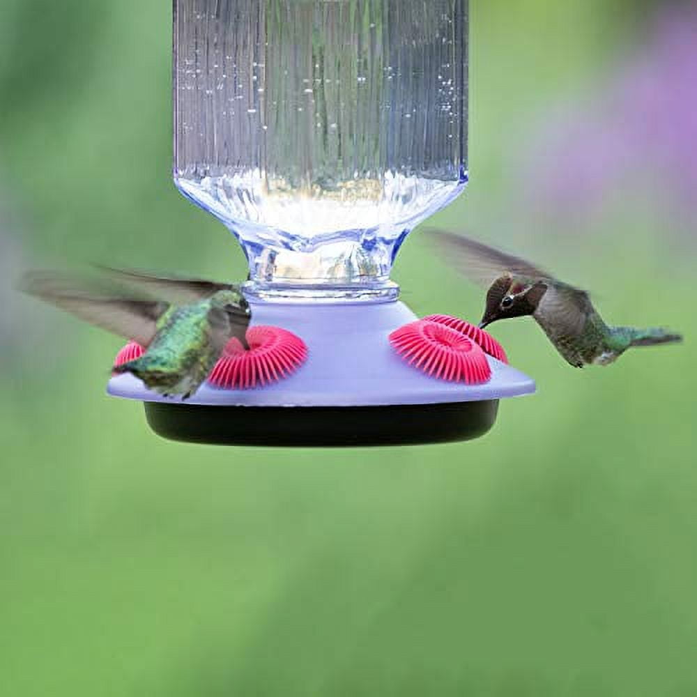 Perky-Pet Lavender Field Top-Fill Glass Hummingbird Feeder