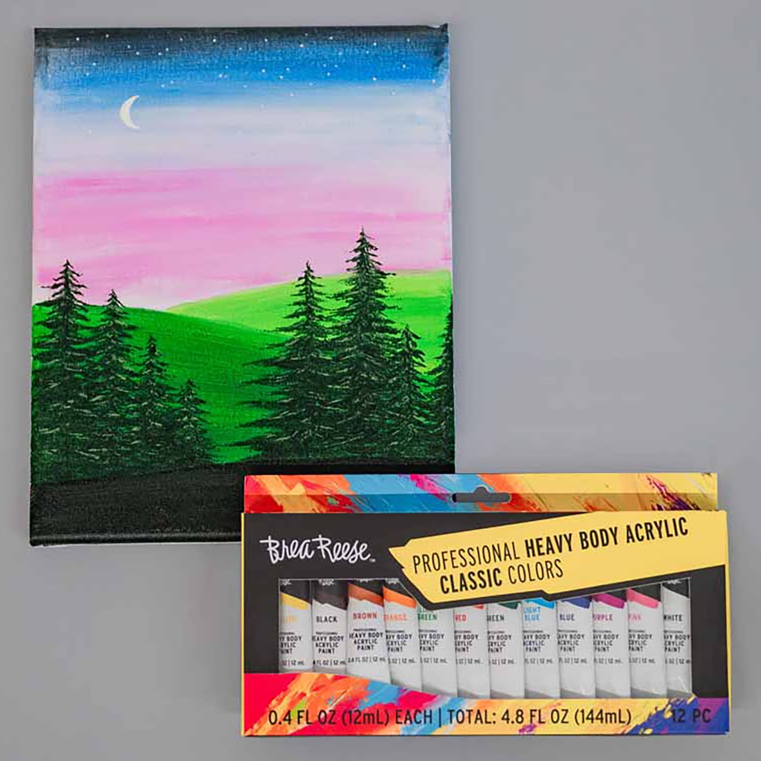 Professional Heavy Body Acrylic Paint Set - Classic Colors - 12 Tubes
