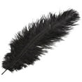 thumbnail image 2 of 20 X Natural Ostrich 25-30 Cm Black Party Decoration, 2 of 5