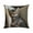 A, variant on Penmahua Pillow Covers With Cats Pattern Decorative Pillow Cases Soft Fabric Hidden Zipper 17.7 X 17.7 Inches Cotton Material Home Decor Sleeping Cat Design Version A A