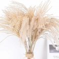 thumbnail image 2 of KAIYANG 100 piezas de Lagurus ovatus secas naturales, decoración con flores de hierba de la pampa seca, 2 of 5