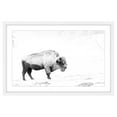 thumbnail image 6 of Marmont Hill "Grazing Bison" Framed Painting Print, 6 of 6