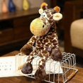 thumbnail image 1 of (NICI Giraffe 50cm)Stuffed Animals - Raccoon Family - Gray & Orange Cuddle Buddies, 1 of 1