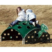 36 in. Turtle Kids Climber in Green