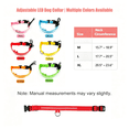thumbnail image 6 of Dog Collar, USB Rechargeable LED Light Up Collar, Waterproof Glow In Dark Adjustable Safety Pet Collar For Medium Large Dogs 6 Colors, 6 of 7
