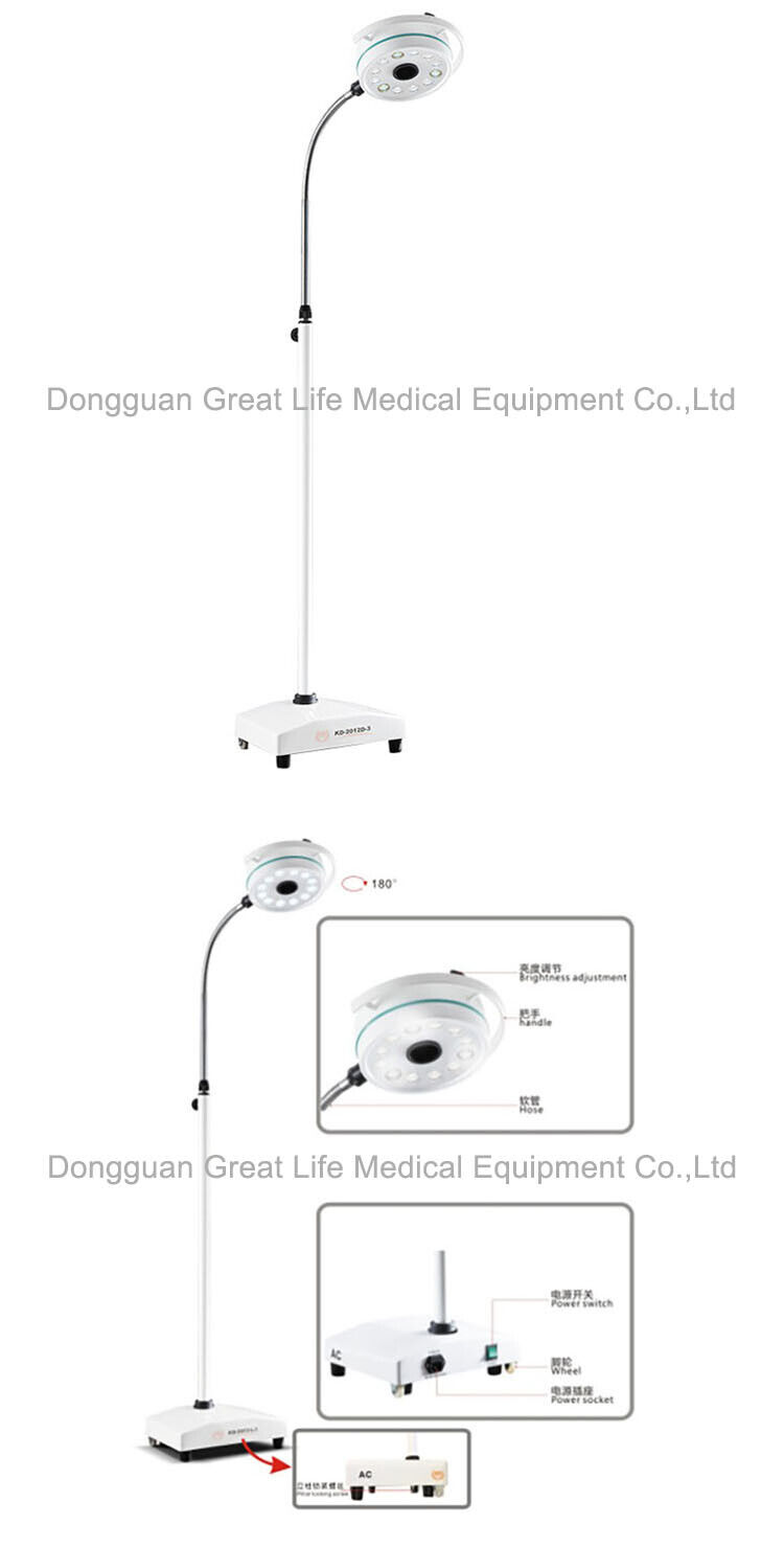 GreatLife Dent USA Stock 36W 12Led Mobile Examination Light Shadowless Surgical Medical Lamp Operating FDA