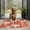 Colorful Mushroom Plant, variant on Red Mushroom Snail Black Pattern Door Rugs,Washable Non Slip Door Mats Indoor,Decorative Door Mats,Entry Mat Indoor for Entrance,Bedroom,Kitchen,Bathroom,16"x24"