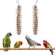 thumbnail image 3 of Soporte para frutas y pájaros de acero inoxidable, pincho para alimentos, cacatúa, juguete para jaula de pájaros, accesorios para frutas y verduras, para pájaros, loros, periquitos, cacatúas, canarios, paquete de 2 brillar Electrónica, 3 of 4