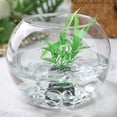 thumbnail image 2 of NOGIS 0.66 Lb Flat Glass Marbles, Clear Flat Marble Beads Gems Transparent Aquarium Pebbles for Vase Filler Beads Table Scatters, 2 of 7