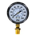 thumbnail image 1 of Eco-Flo 4922886 Manomètre 100 PSI, 1 of 1